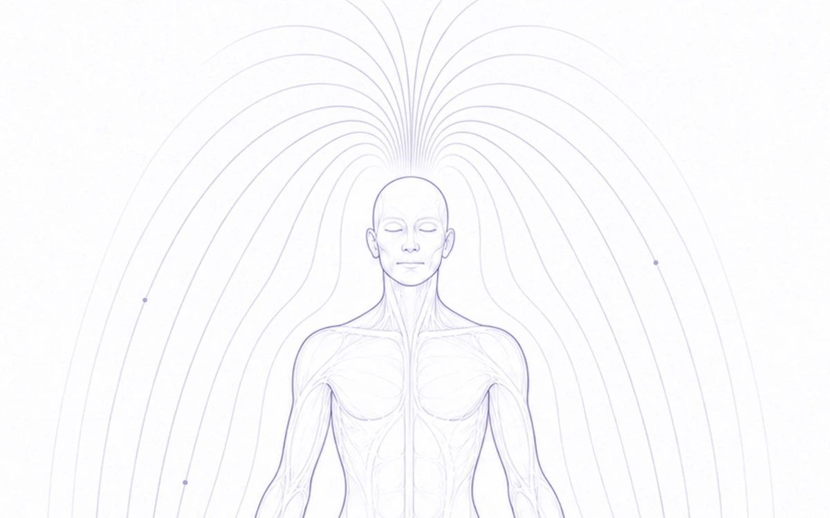 Fine-line figure standing within the toroidal lines of the biofield, the current fountaining from the crown