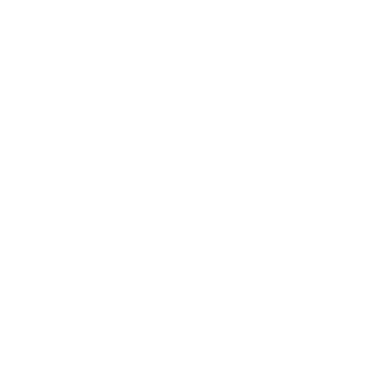 Human energy body